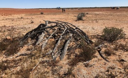 An outback Australian landscape of red earth and a blue sky with a mound of black sticks shaped in a dome in the foreground.